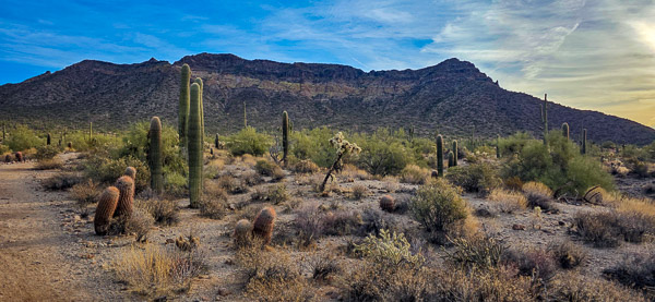 Usery Mountain Regional Park